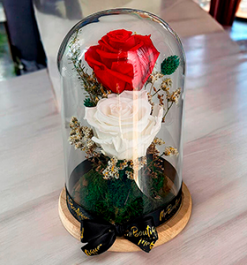   Cupula 2 Rosas Eternas Aniversario