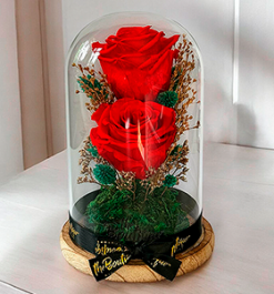   Cupula 2 Rosas Eternas 