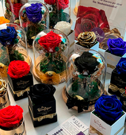 Rosas Eternas