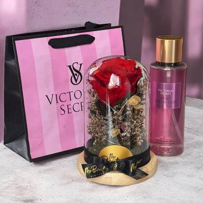  Combo Rosa Eterna Cupula LED