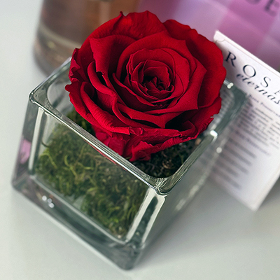    Box 1 Rosa Eterna Box Cristal