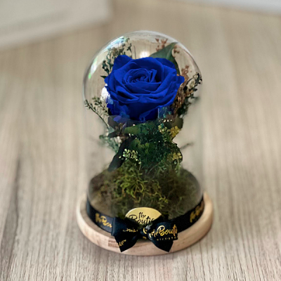   Cupula 1 Rosa Eterna Blue