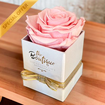   Box 1 Rosa Eterna PINK