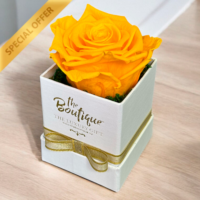   Box 1 Rosa Eterna Amarilla