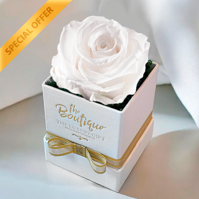   Box 1 Rosa Eterna Blanca
