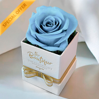   Box 1 Rosa Eterna Celeste