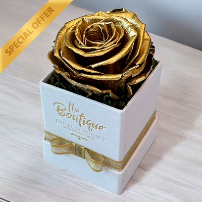   Box 1 Rosa Eterna Gold