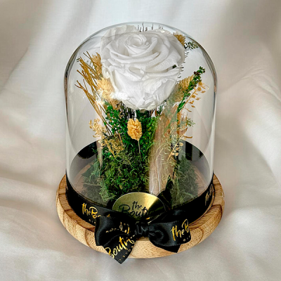   Cupula 1 Rosa Eterna Blanca