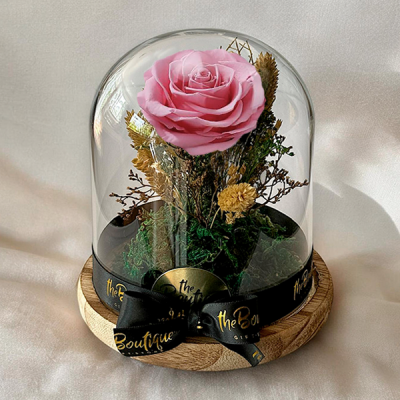   Cupula 1 Rosa Eterna Rosada